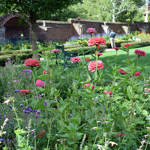 http://Person%20gardening%20in%20King's%20Garden