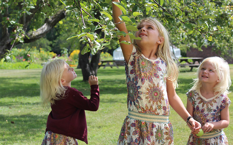 Children apple picking
