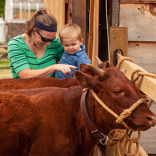http://Woman%20and%20little%20boy%20looking%20at%20cows