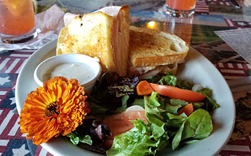 Sandwich and salad plate