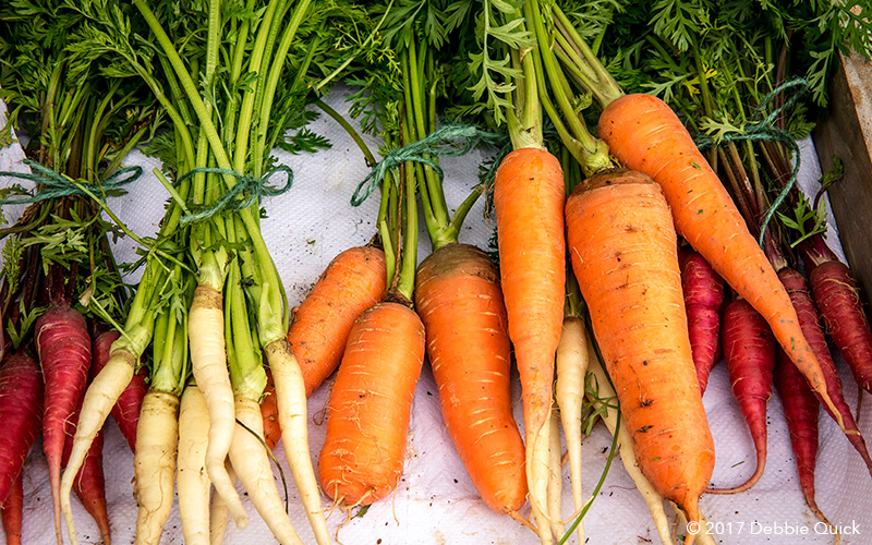 Vegetables grown from garden