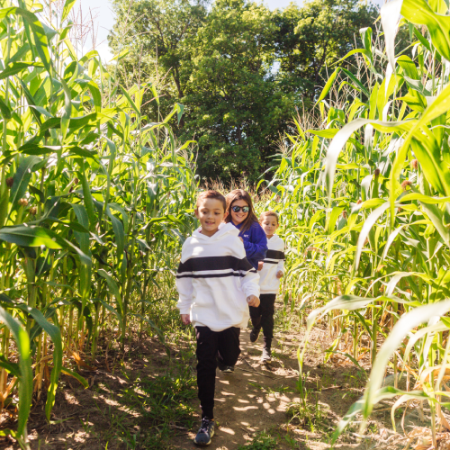 http://kids%20running%20in%20corn%20maze